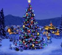 pic for christmas tree 1440x1280